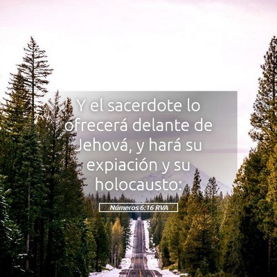 Picture 05 - Números 6:16 RVA - Y el sacerdote lo ofrecerá delante de Jehová, y - Bible Verse Picture