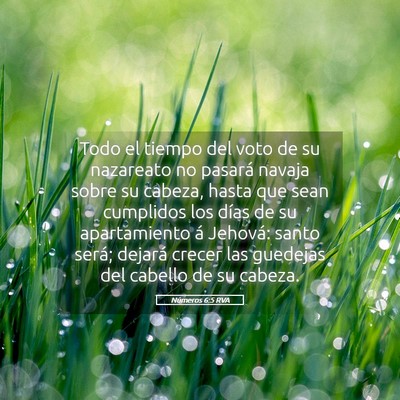 Picture 05 - Números 6:5 RVA - Todo el tiempo del voto de su nazareato no - Bible Verse Picture