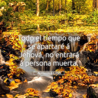 Picture 05 - Números 6:6 RVA - Todo el tiempo que se apartaré á Jehová, no - Bible Verse Picture
