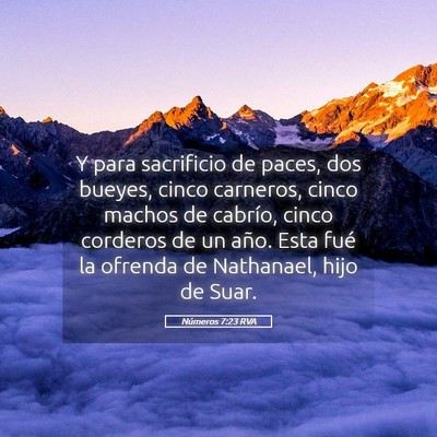 Picture 05 - Números 7:23 RVA - Y para sacrificio de paces, dos bueyes, cinco - Bible Verse Picture