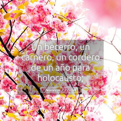 Picture 05 - Números 7:27 RVA - Un becerro, un carnero, un cordero de un año - Bible Verse Picture