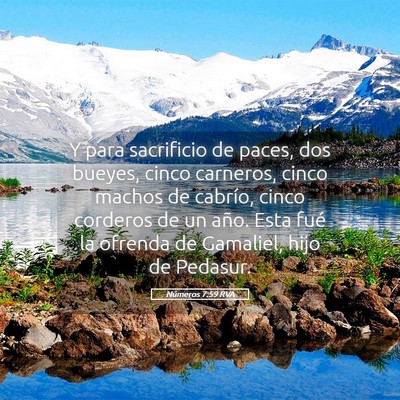 Picture 05 - Números 7:59 RVA - Y para sacrificio de paces, dos bueyes, cinco - Bible Verse Picture