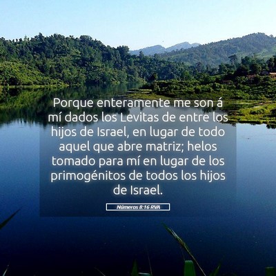 Picture 05 - Números 8:16 RVA - Porque enteramente me son á mí dados los - Bible Verse Picture