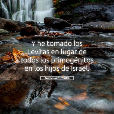 Picture 05 - Números 8:18 RVA - Y he tomado los Levitas en lugar de todos los - Bible Verse Picture