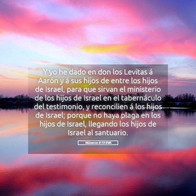 Picture 05 - Números 8:19 RVA - Y yo he dado en don los Levitas á Aarón y á - Bible Verse Picture