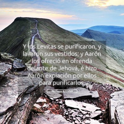 Picture 05 - Números 8:21 RVA - Y los Levitas se purificaron, y lavaron sus - Bible Verse Picture