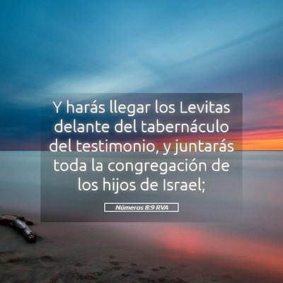 Picture 05 - Números 8:9 RVA - Y harás llegar los Levitas delante del - Bible Verse Picture