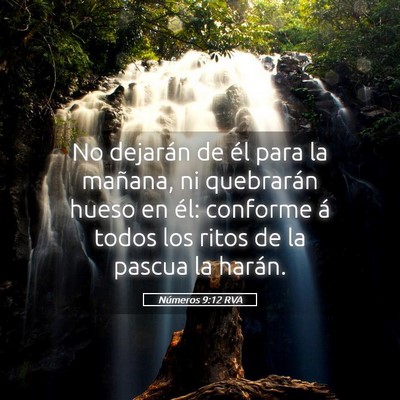 Picture 05 - Números 9:12 RVA - No dejarán de él para la mañana, ni quebrarán - Bible Verse Picture