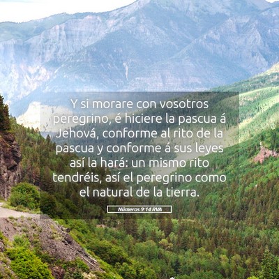 Picture 05 - Números 9:14 RVA - Y si morare con vosotros peregrino, é hiciere la - Bible Verse Picture