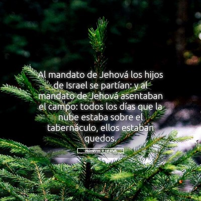 Picture 05 - Números 9:18 RVA - Al mandato de Jehová los hijos de Israel se - Bible Verse Picture