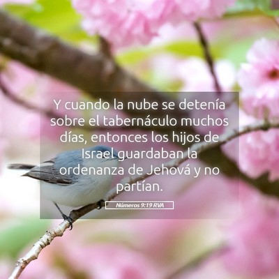 Picture 05 - Números 9:19 RVA - Y cuando la nube se detenía sobre el - Bible Verse Picture
