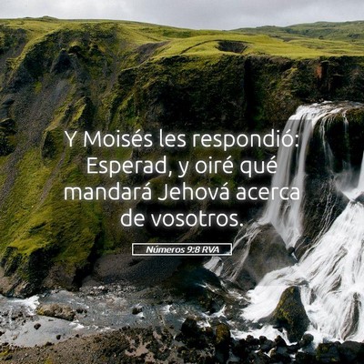 Picture 05 - Números 9:8 RVA - Y Moisés les respondió: Esperad, y oiré qué - Bible Verse Picture