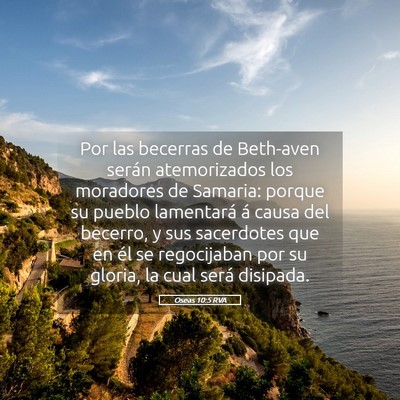 Picture 05 - Oseas 10:5 RVA - Por las becerras de Beth-aven serán atemorizados - Bible Verse Picture