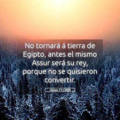 Picture 05 - Oseas 11:5 RVA - No tornará á tierra de Egipto, antes el mismo - Bible Verse Picture