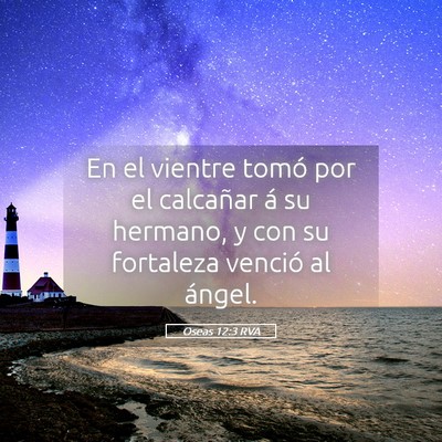 Picture 05 - Oseas 12:3 RVA - En el vientre tomó por el calcañar á su - Bible Verse Picture