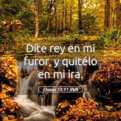 Picture 05 - Oseas 13:11 RVA - Díte rey en mi furor, y quitélo en mi - Bible Verse Picture