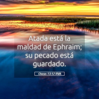 Picture 05 - Oseas 13:12 RVA - Atada está la maldad de Ephraim; su pecado está - Bible Verse Picture