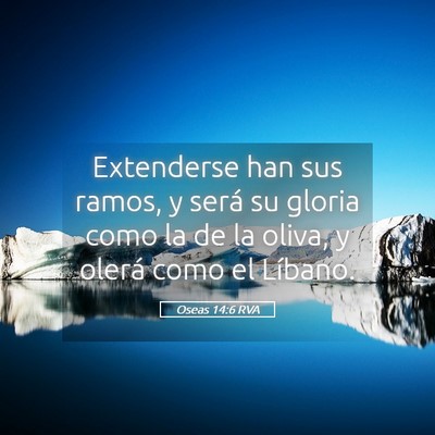 Picture 05 - Oseas 14:6 RVA - Extenderse han sus ramos, y será su gloria como - Bible Verse Picture