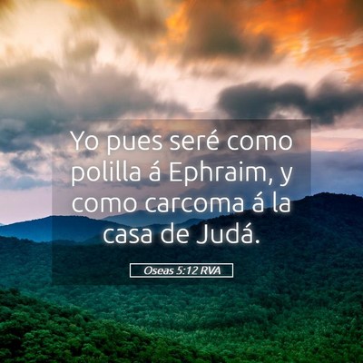 Picture 05 - Oseas 5:12 RVA - Yo pues seré como polilla á Ephraim, y como - Bible Verse Picture