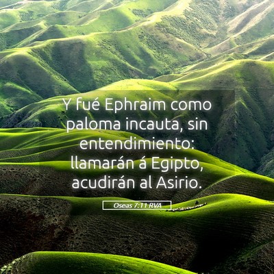Picture 05 - Oseas 7:11 RVA - Y fué Ephraim como paloma incauta, sin - Bible Verse Picture