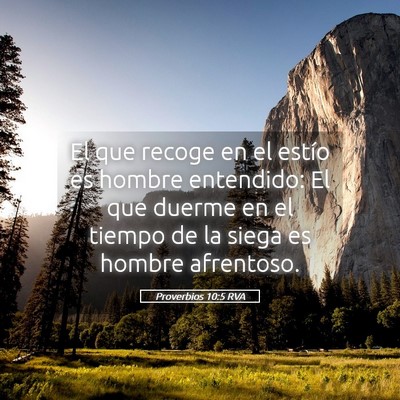Picture 05 - Proverbios 10:5 RVA - El que recoge en el estío es hombre entendido: - Bible Verse Picture