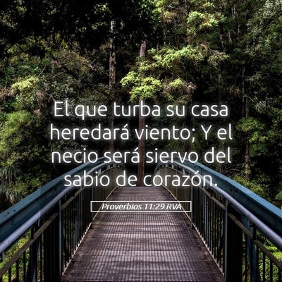 Picture 05 - Proverbios 11:29 RVA - El que turba su casa heredará viento; Y el necio - Bible Verse Picture
