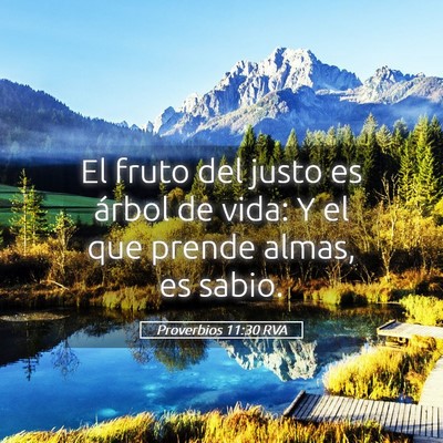 Picture 05 - Proverbios 11:30 RVA - El fruto del justo es árbol de vida: Y el que - Bible Verse Picture