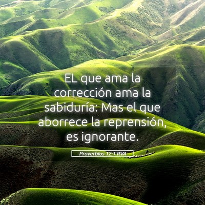 Picture 05 - Proverbios 12:1 RVA - EL que ama la corrección ama la sabiduría: Mas - Bible Verse Picture