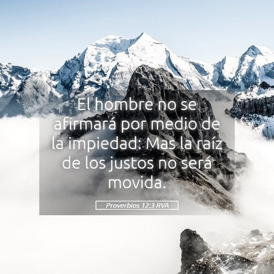 Picture 05 - Proverbios 12:3 RVA - El hombre no se afirmará por medio de la - Bible Verse Picture