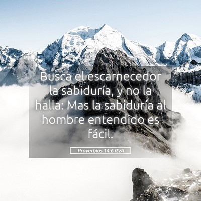 Picture 05 - Proverbios 14:6 RVA - Busca el escarnecedor la sabiduría, y no la - Bible Verse Picture