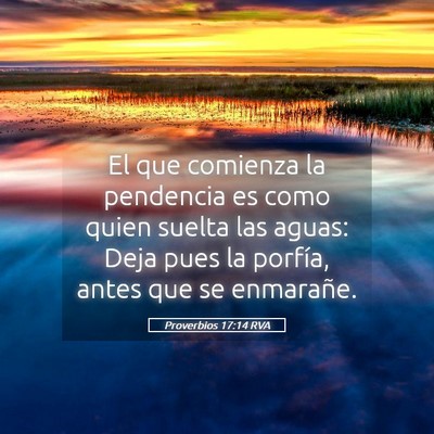 Picture 05 - Proverbios 17:14 RVA - El que comienza la pendencia es como quien suelta - Bible Verse Picture