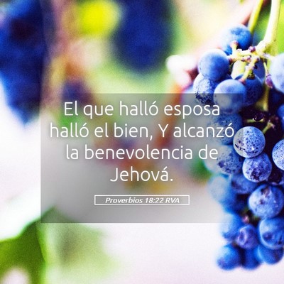 Picture 05 - Proverbios 18:22 RVA - El que halló esposa halló el bien, Y alcanzó - Bible Verse Picture