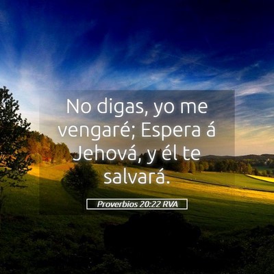 Picture 05 - Proverbios 20:22 RVA - No digas, yo me vengaré; Espera á Jehová, y - Bible Verse Picture