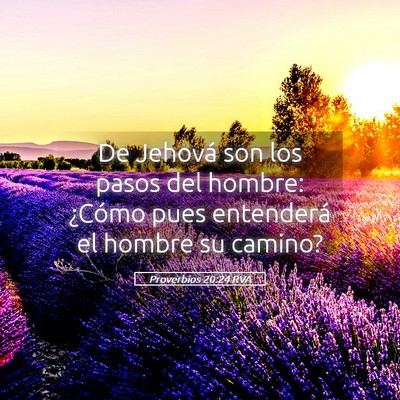 Picture 05 - Proverbios 20:24 RVA - De Jehová son los pasos del hombre: ¿Cómo pues - Bible Verse Picture
