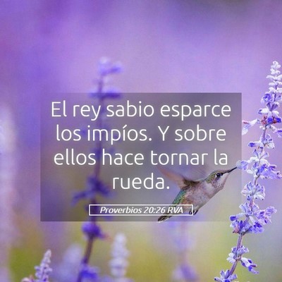 Picture 05 - Proverbios 20:26 RVA - El rey sabio esparce los impíos. Y sobre ellos - Bible Verse Picture