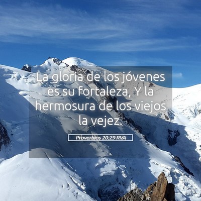 Picture 05 - Proverbios 20:29 RVA - La gloria de los jóvenes es su fortaleza, Y la - Bible Verse Picture