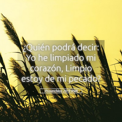 Picture 05 - Proverbios 20:9 RVA - ¿Quién podrá decir: Yo he limpiado mi - Bible Verse Picture