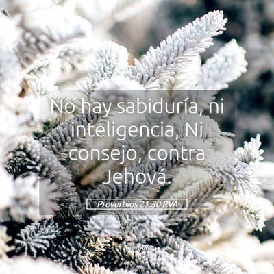 Picture 05 - Proverbios 21:30 RVA - No hay sabiduría, ni inteligencia, Ni consejo, - Bible Verse Picture
