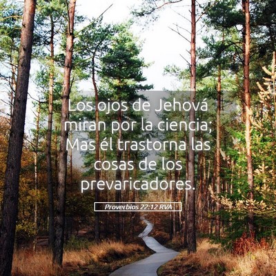 Picture 05 - Proverbios 22:12 RVA - Los ojos de Jehová miran por la ciencia; Mas él - Bible Verse Picture