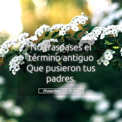 Picture 05 - Proverbios 22:28 RVA - No traspases el término antiguo Que pusieron tus - Bible Verse Picture
