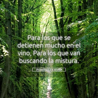 Picture 05 - Proverbios 23:30 RVA - Para los que se detienen mucho en el vino, Para - Bible Verse Picture