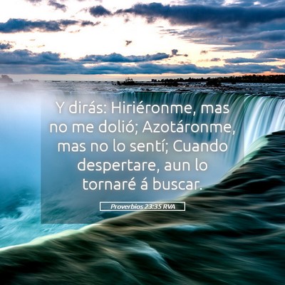 Picture 05 - Proverbios 23:35 RVA - Y dirás: Hiriéronme, mas no me dolió; - Bible Verse Picture