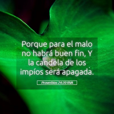 Picture 05 - Proverbios 24:20 RVA - Porque para el malo no habrá buen fin, Y la - Bible Verse Picture