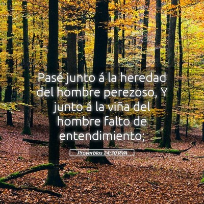 Picture 05 - Proverbios 24:30 RVA - Pasé junto á la heredad del hombre perezoso, Y - Bible Verse Picture