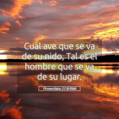 Picture 05 - Proverbios 27:8 RVA - Cual ave que se va de su nido, Tal es el hombre - Bible Verse Picture