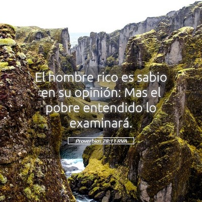 Picture 05 - Proverbios 28:11 RVA - El hombre rico es sabio en su opinión: Mas el - Bible Verse Picture