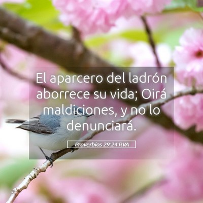 Picture 05 - Proverbios 29:24 RVA - El aparcero del ladrón aborrece su vida; Oirá - Bible Verse Picture