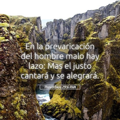 Picture 05 - Proverbios 29:6 RVA - En la prevaricación del hombre malo hay lazo: - Bible Verse Picture