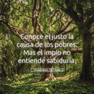 Picture 05 - Proverbios 29:7 RVA - Conoce el justo la causa de los pobres: Mas el - Bible Verse Picture