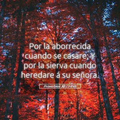 Picture 05 - Proverbios 30:23 RVA - Por la aborrecida cuando se casare; Y por la - Bible Verse Picture